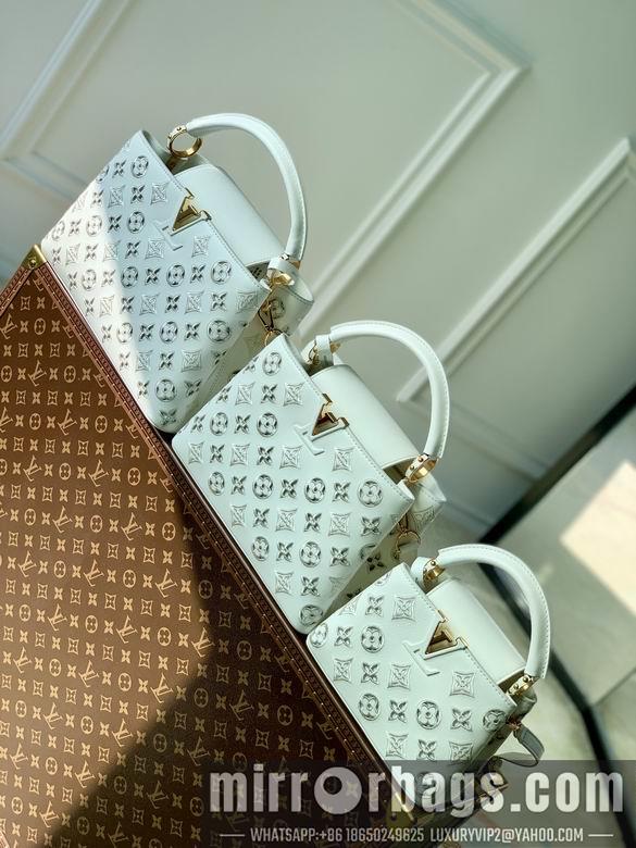 LV Replica Bags Capucines M22863 21x14x8cm gf1