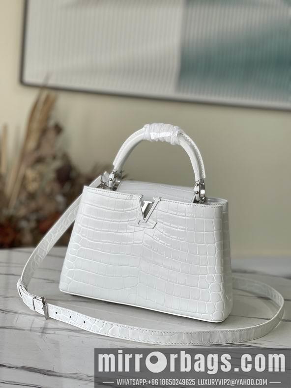 LV Replica Bags Capucines N93163,M48865 27x18x9 cm gf