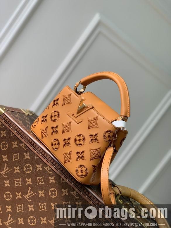 LV Replica Bags Capucines M22863 21x14x8cm gf1
