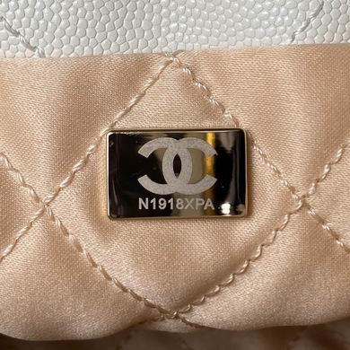 Chanel Replica Bags AS3980 19X20X6cm BL 4colour-1