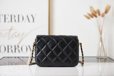 Chanel Replica Bags AS2855 19x13x6 cm al