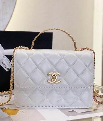 Chanel Replica Bags AS3886 20X14X7.5cm WO 2colour
