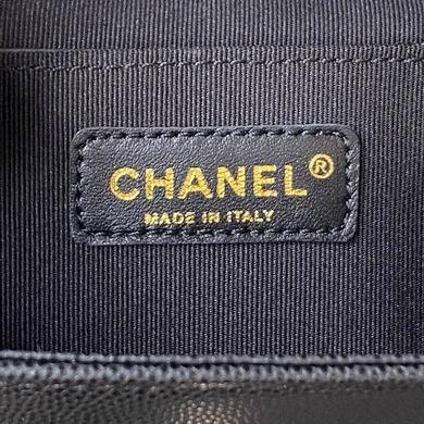 Chanel Replica Bags AS4399 19.5X18X10cm BL 3colour