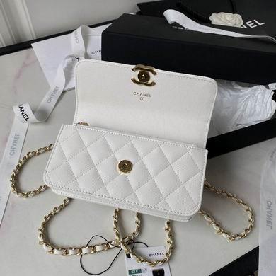 Chanel Replica Bags AP3021 17X10X4.5cm BL 2colour