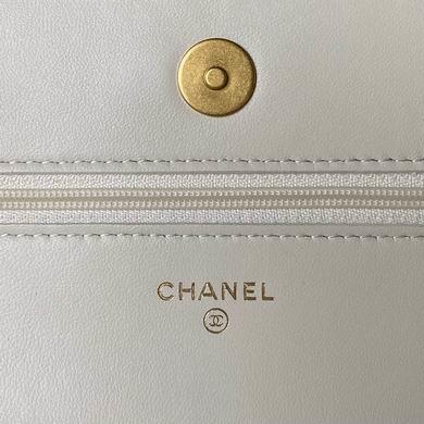 Chanel Replica Bags 19cm 070204 BL 2colour