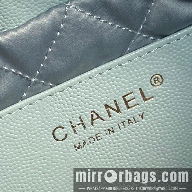 Chanel Replica Bags AS3980 20cm BL 2colour