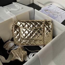 Chanel Replica Bags AS4648 15.5X24X7.5cm BL 2colour