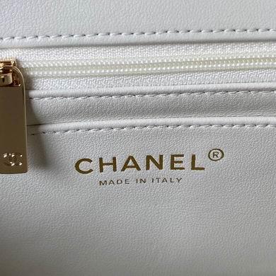 Chanel Replica Bags AS4141 21cm BL 2colour