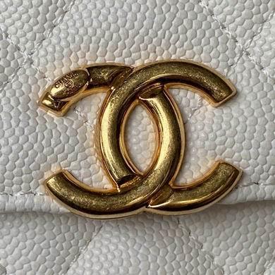 Chanel Replica Bags AP3021 17X10X4.5cm BL 2colour