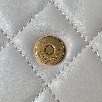 Chanel Replica Bags AS4596 17.5X20X5cm BL 2colour