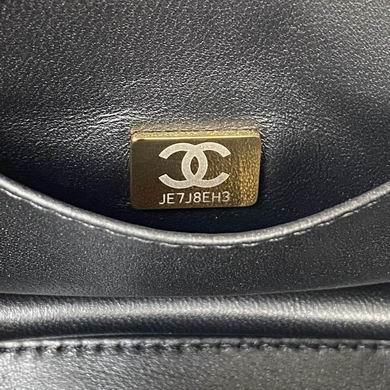 Chanel Replica Bags AS3580 23cm AL 1