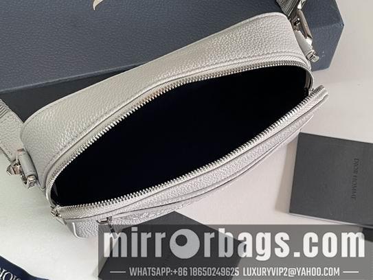Dior Replica Bags Dior Safari 22x15x6cm wz1