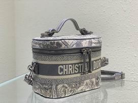Dior Replica Bags Dior Travel 18.5x13x10.5cm  wo