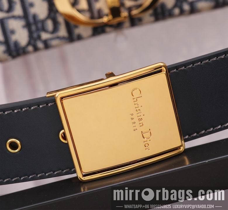 Dior Replica Bags 9204 17.5X11.5X5cm