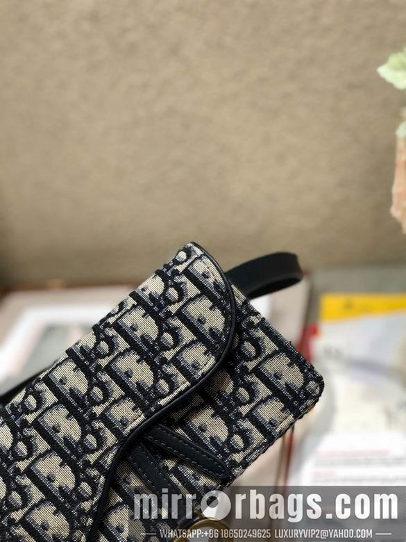 Dior Replica Bags 0142 17X11X3.5cm H 2colour