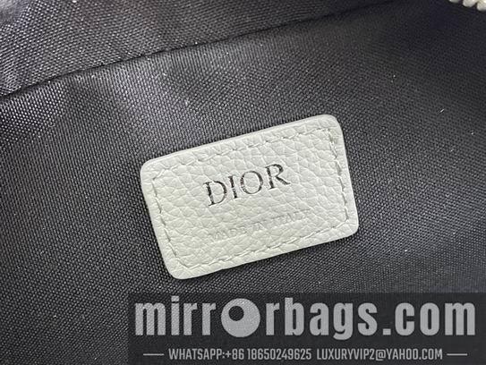 Dior Replica Bags Dior Safari 22x15x6cm wz1