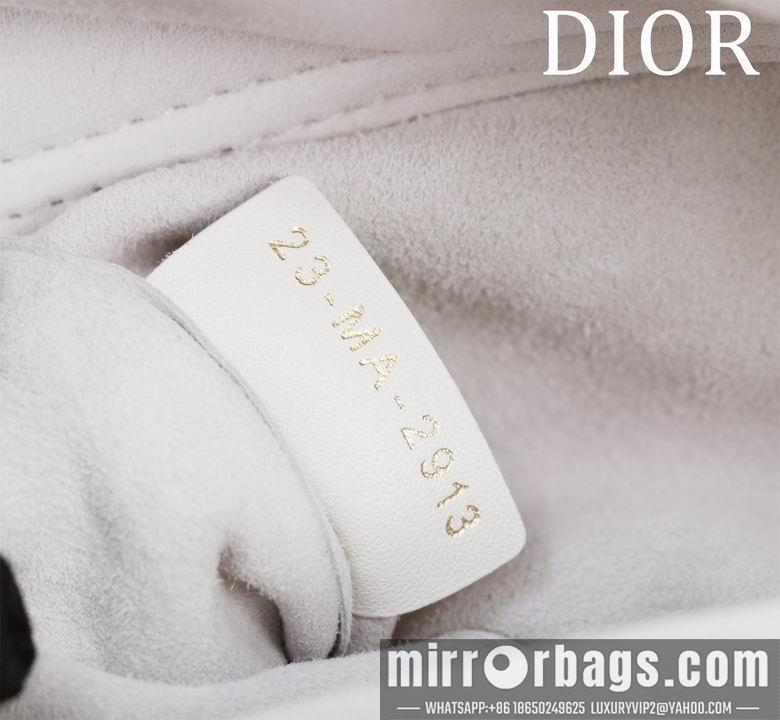 Dior Replica Bags M0540 26X13.5X5cm 22X12X6.5cm BG 2colour