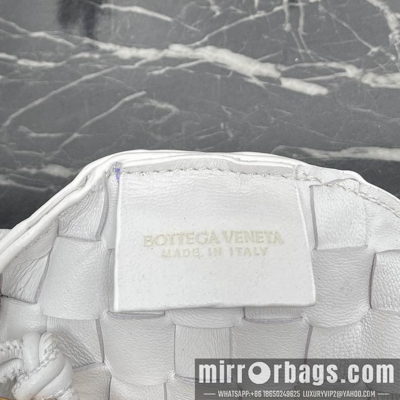 Bottega Veneta Replica Bags Sardine 6013 20X12X2cm BG 4