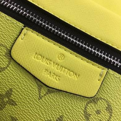 1:1 Louis Vuitton Bags SSM30245 21X17X5
