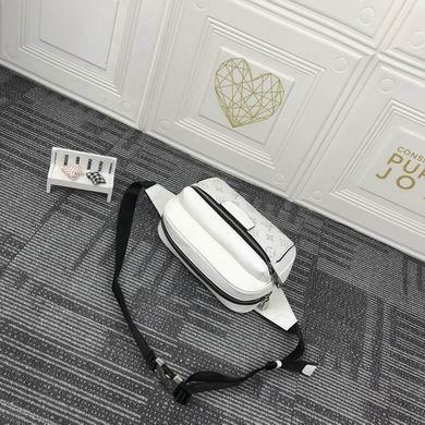 1:1 Louis Vuitton Bags SSM30245 21X17X5