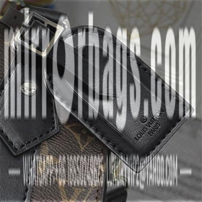 1:1 Louis Vuitton Bags Sac Plat M46453黑花 老花 压花19x22x7cm ss