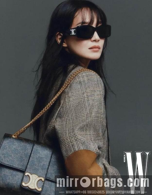 Replica Celine Glasses smx137
