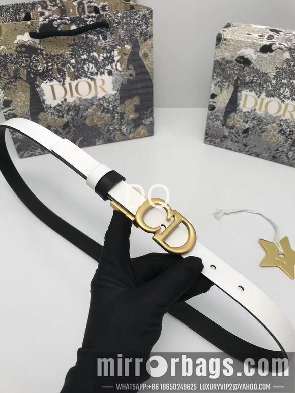 Replica Dior 20mmx90-115cm  05