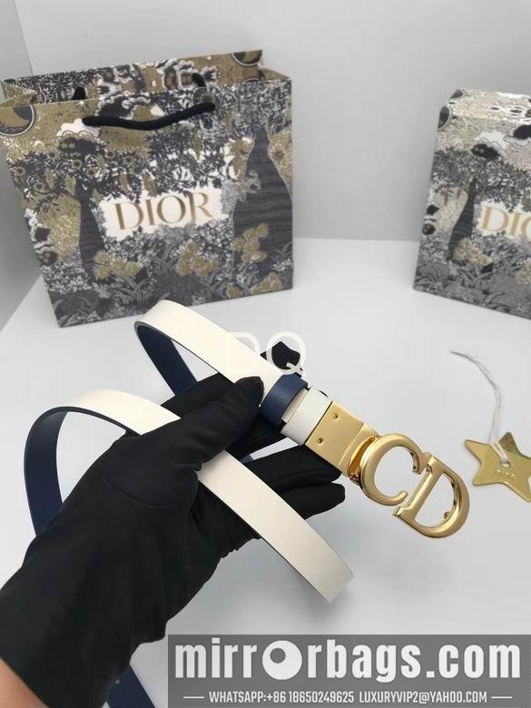 Replica Dior 20mmx90-115cm  05