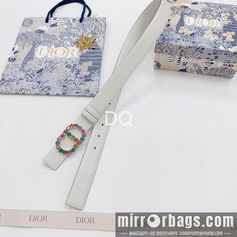 Replica Dior 30mmx95-115cm 06