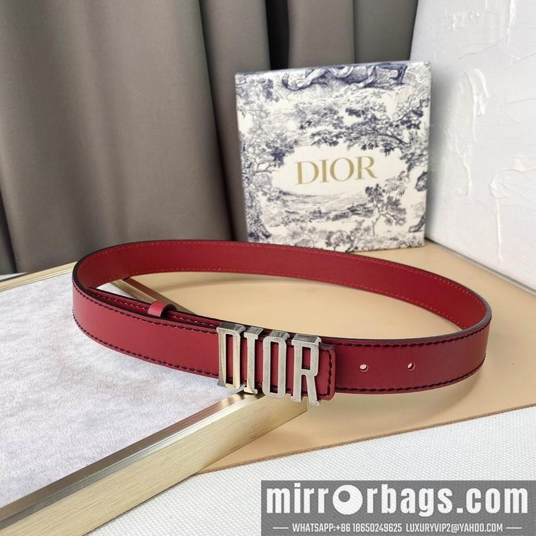 Replica Dior 30mmx95-115cm 01