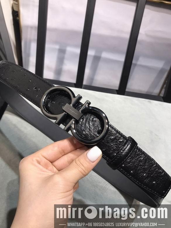 Replica Ferragamo 34mmX95-125 7D205