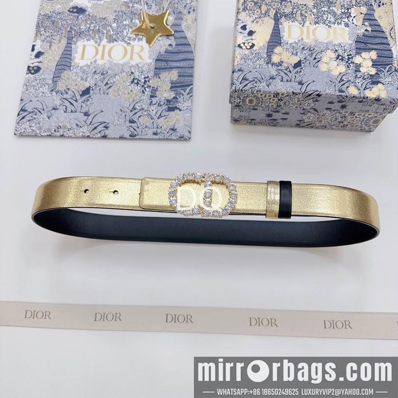Replica Dior 30mmx95-115cm 06