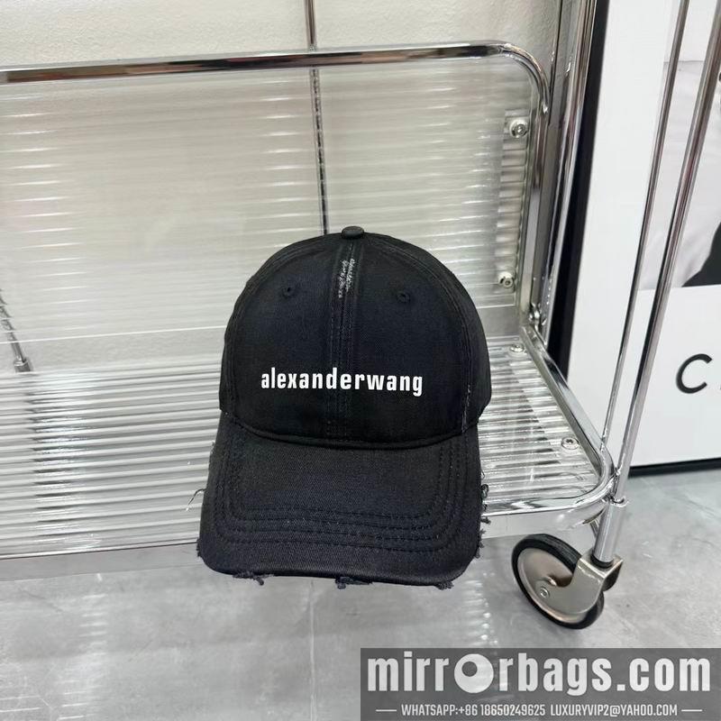 Replica Alexander Wang cap dx01