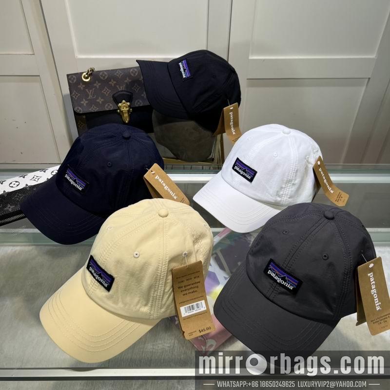 Replica Patagonia cap dx08