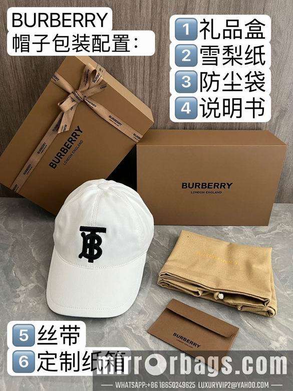 Replica Burberry Hat dxn04