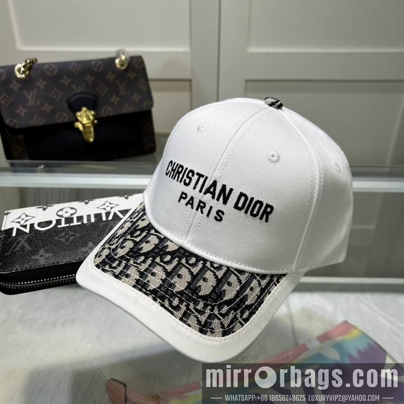 Replica Dior Hat dx10