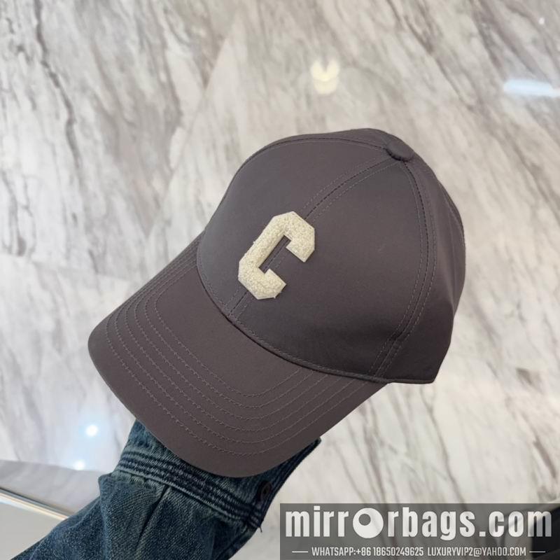 Replica Celine cap dx29