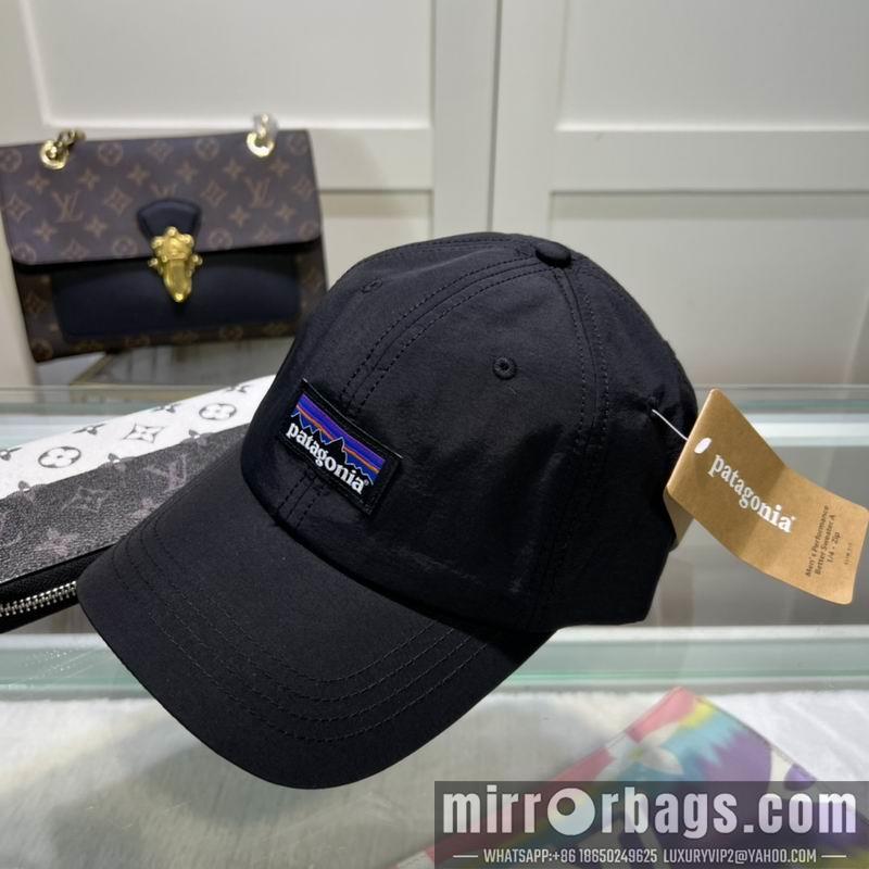 Replica Patagonia cap dx08