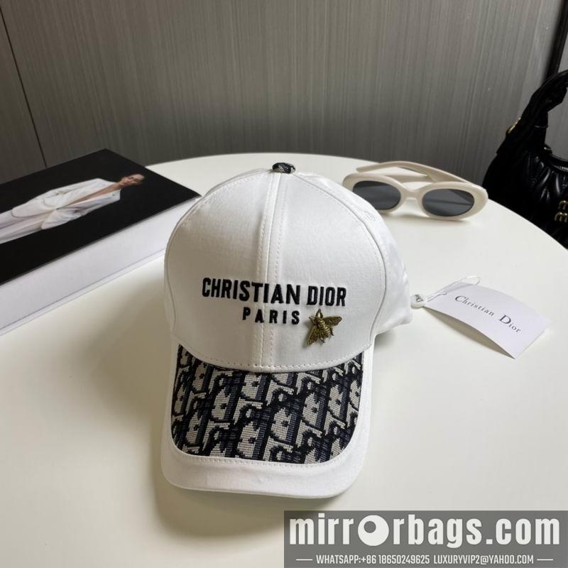 Replica Dior cap 081001