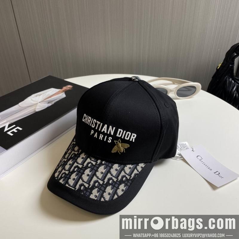 Replica Dior cap 081001