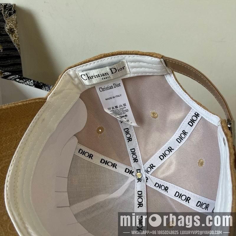 Replica Dior Hat dx17