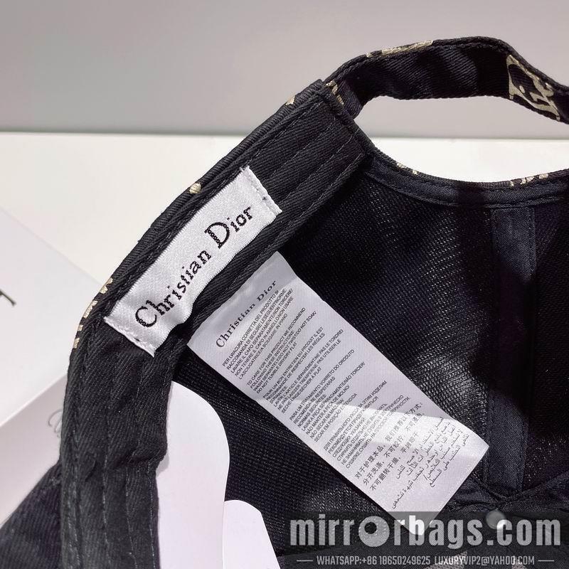 Replica Dior cap 010201