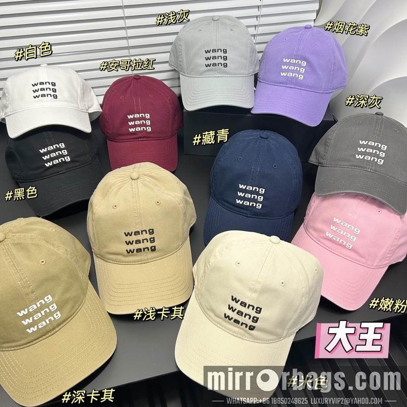 Replica Alxander Wang cap dx19