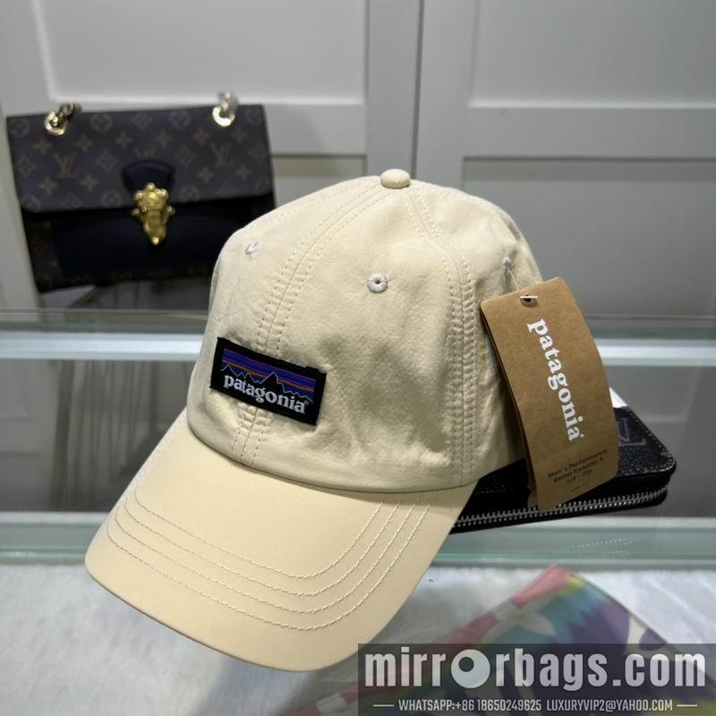 Replica Patagonia cap dx08