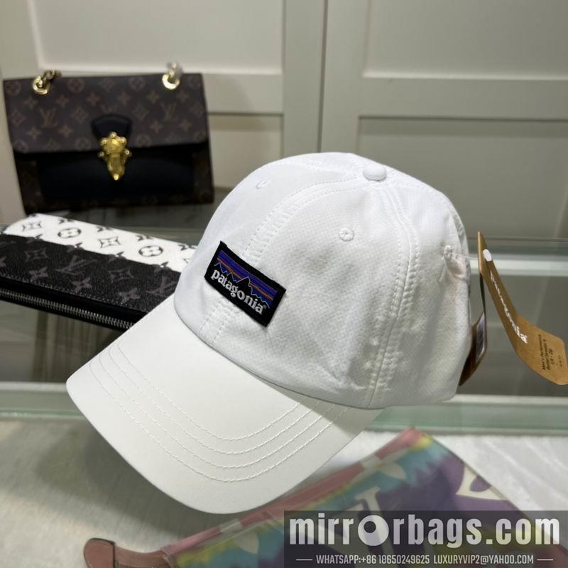Replica Patagonia cap dx08