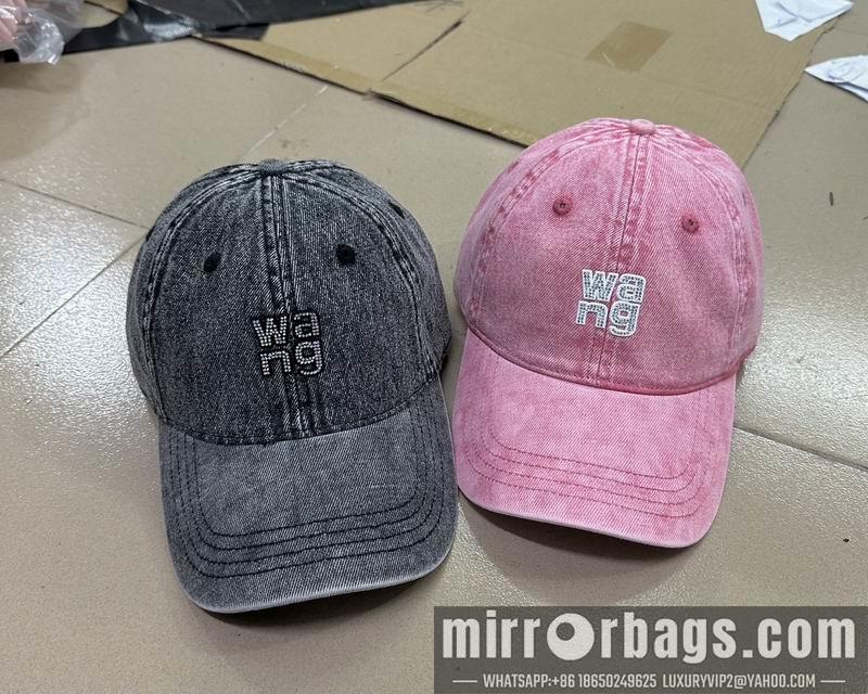 Replica Alexander Wang cap  dx02
