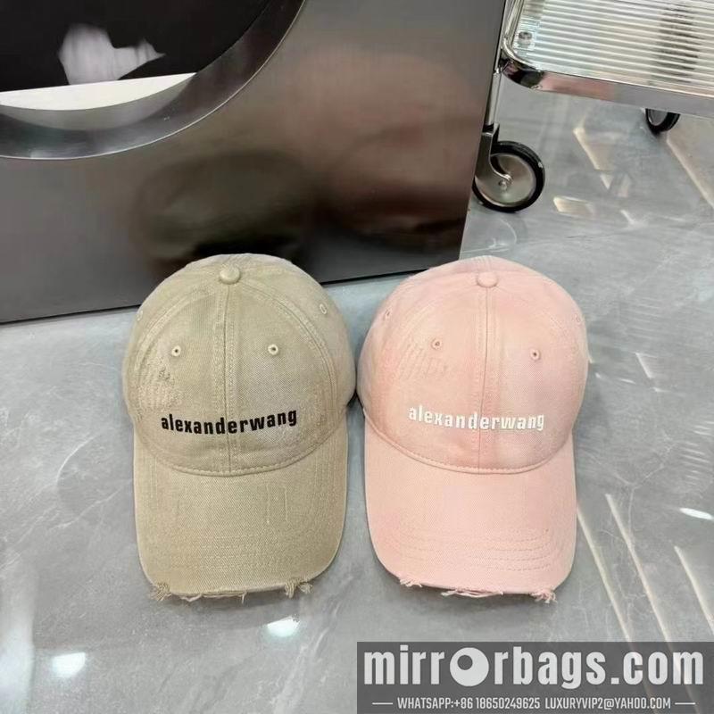 Replica Alexander Wang cap dx05