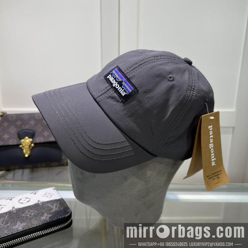 Replica Patagonia cap dx08