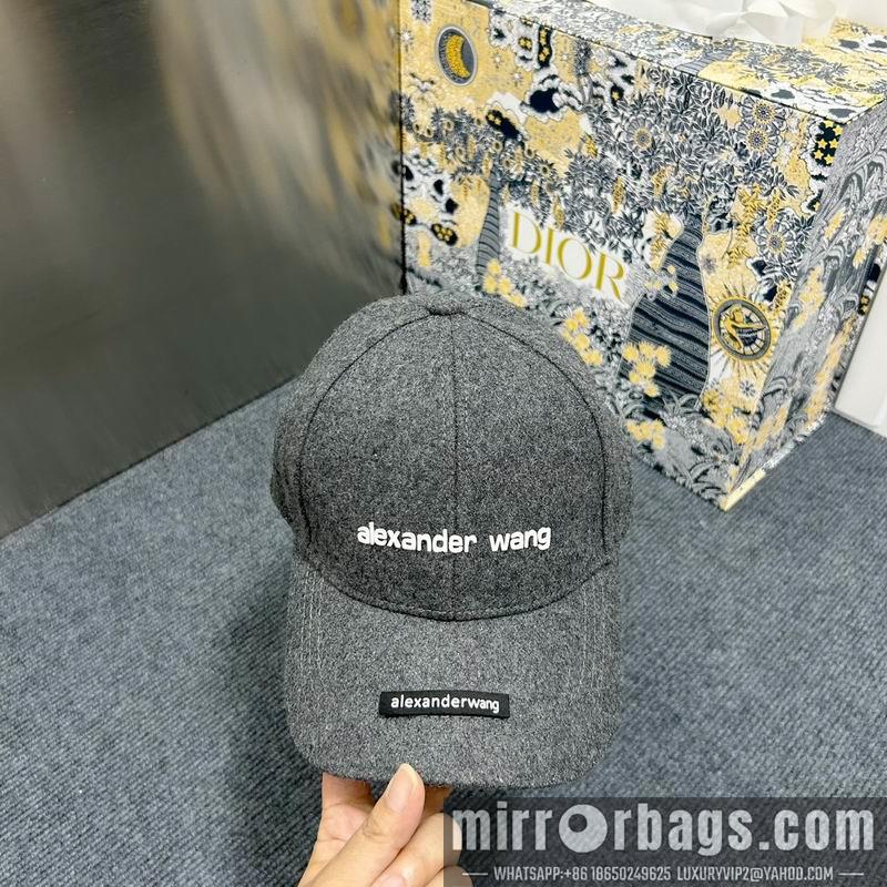 Replica Alexander Wang cap dx15