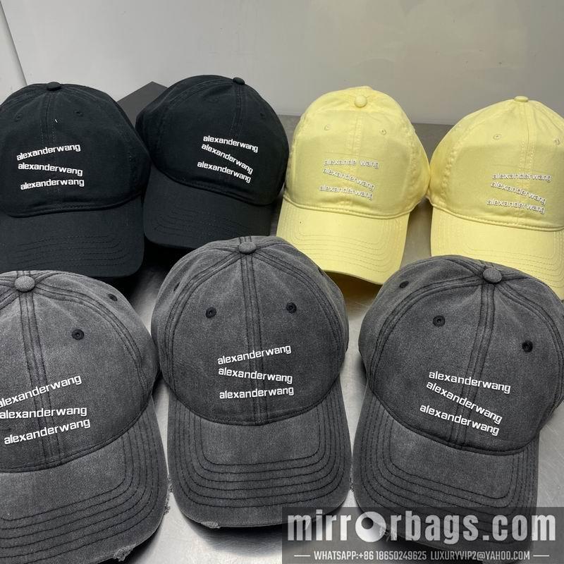 Replica Alexander Wang cap dx21